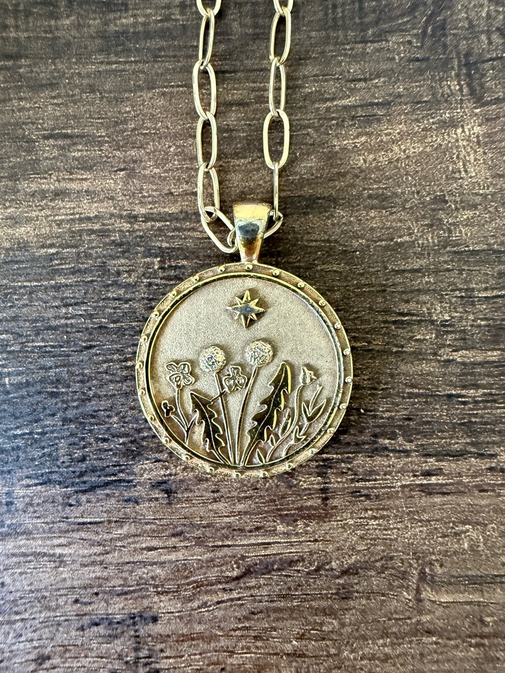 Jane Win WANDERLUST Gold Pendant Coin Necklace w/ Drawn Link Chain - Picture 3 of 4